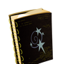 Starswirl The Bearded's Magic Book