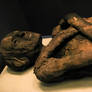 Egyptian Mummy