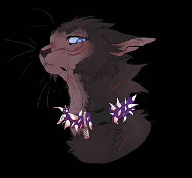 Lykoi scourge