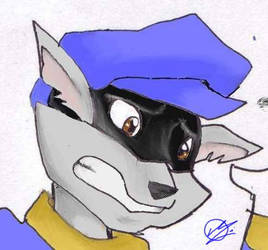 sly cooper