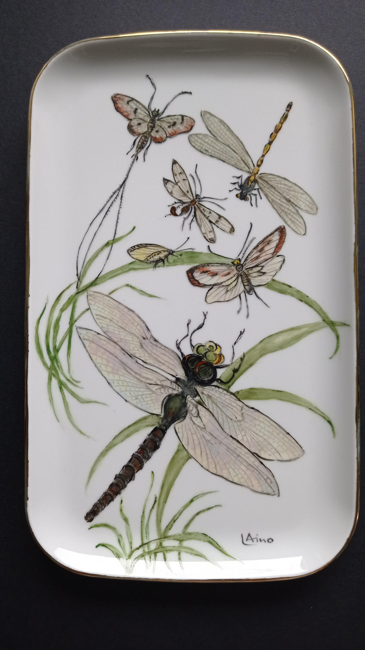 Insects world by udukogu on DeviantArt