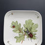 In addition to insects world -stag-beetle