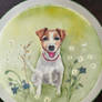Jack Russell