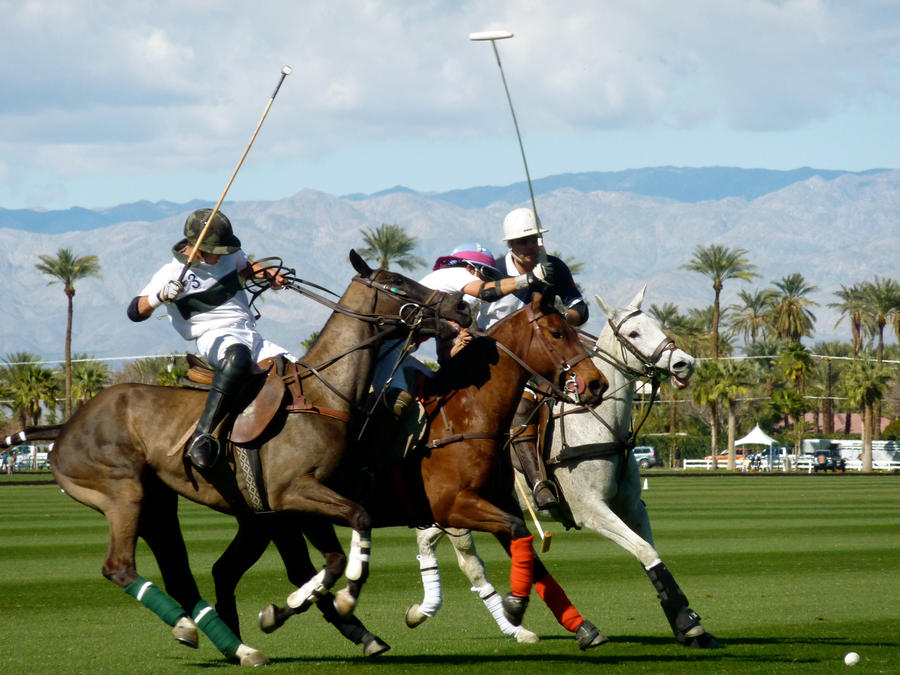 The Perfect Polo Shot
