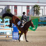 2012 Thermal Desert HITS Show Jumping