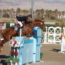 2012 Thermal Desert HITS Show Jumping