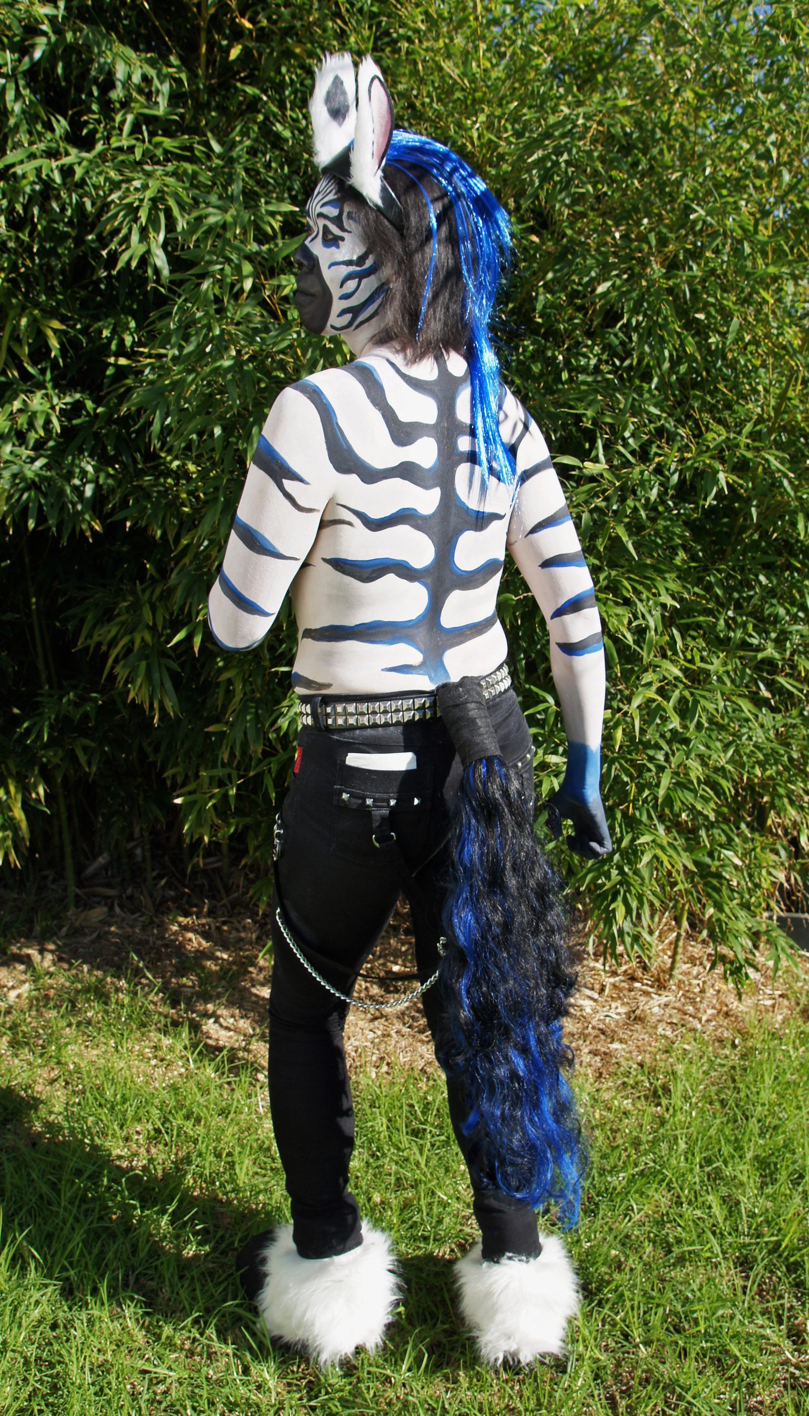 Zebra Ponying Outside - Back