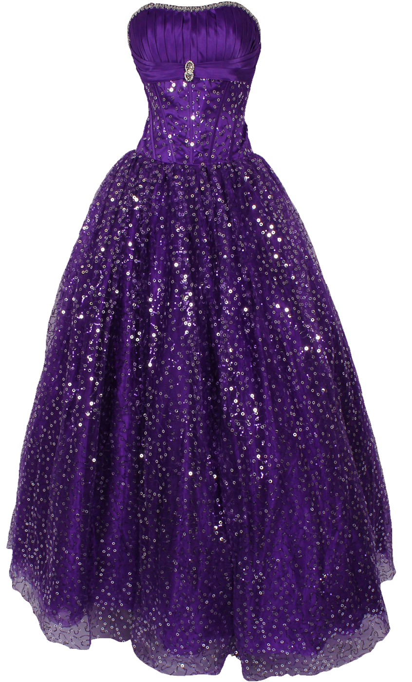 PurpleSparklyDress