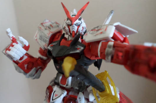 Gunpla Selfie #2 RG Astray Red Frame