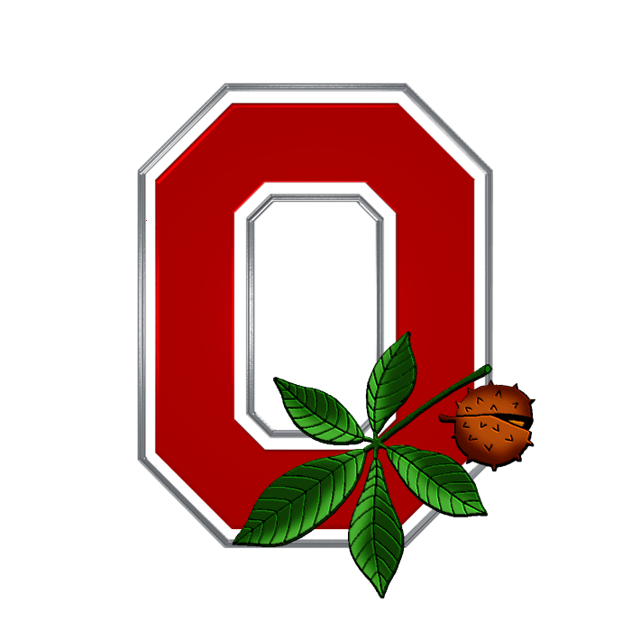 OSU Logo Block O Red Metal with Buckeye Leaf Nut by buckeyekes on