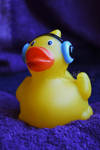 squeaky duck. by Eunelia