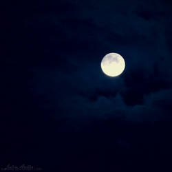 good night moon.