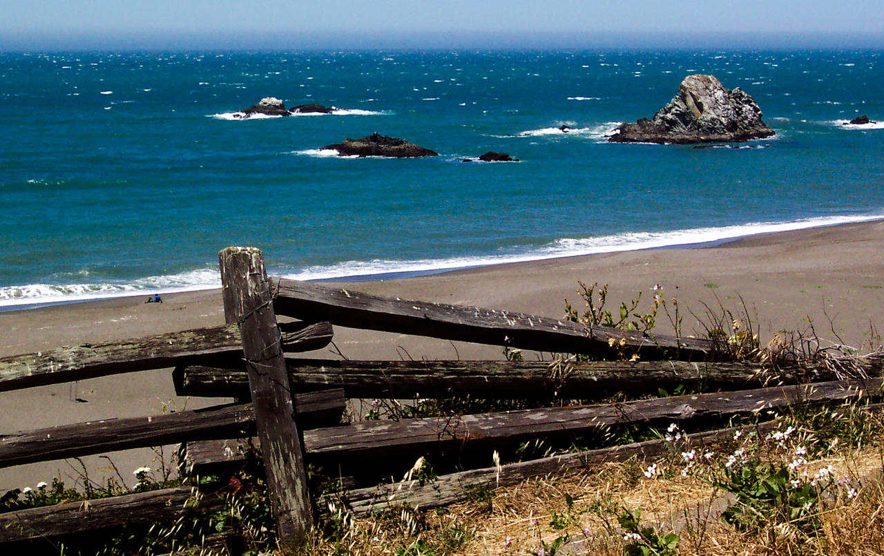 Beach Fence