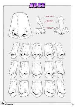 Nose Anatomy 01