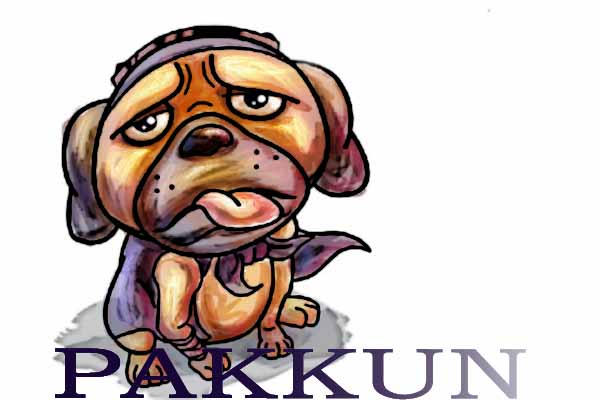 Pakkun Rapper PAKKUN by ReDj017 on DeviantArt