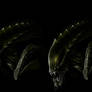 Predalien ( xenomorph concept )