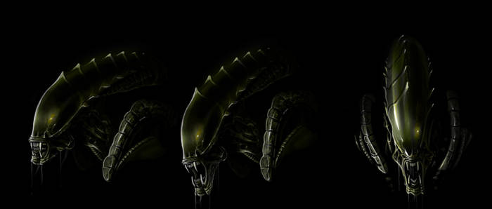 Predalien ( xenomorph concept )