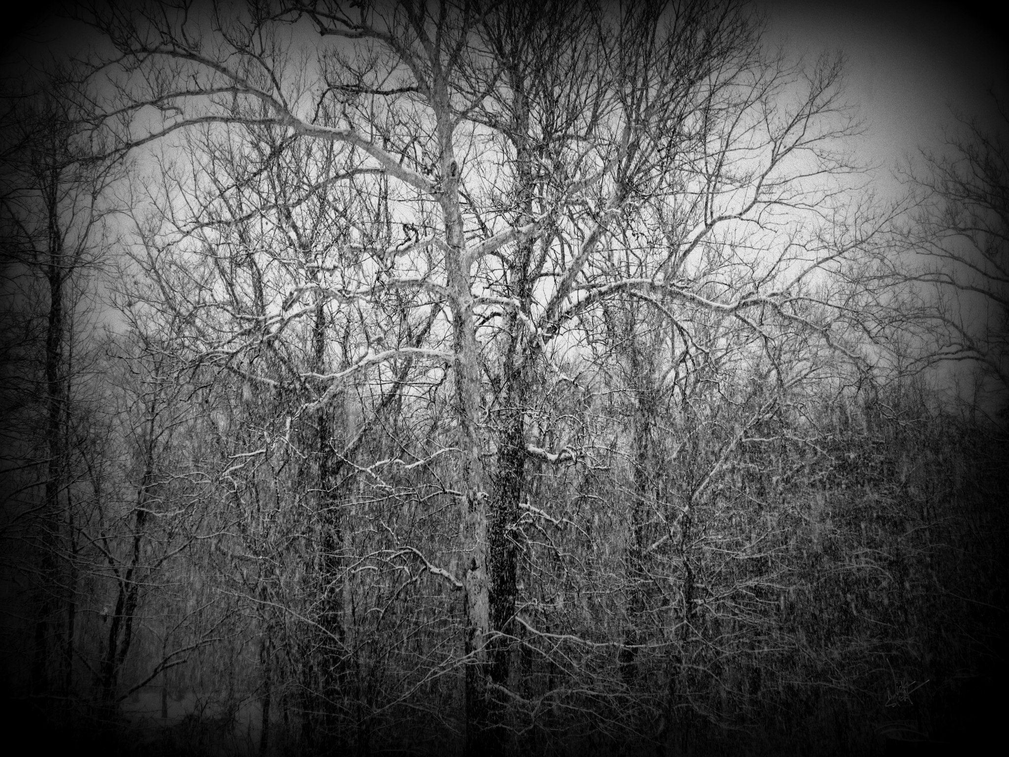 The Dead of Winter is Here...