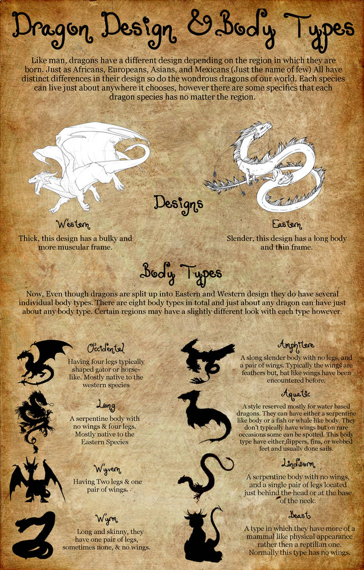 Dragon Designs and Body Types by TwistedWytch on DeviantArt