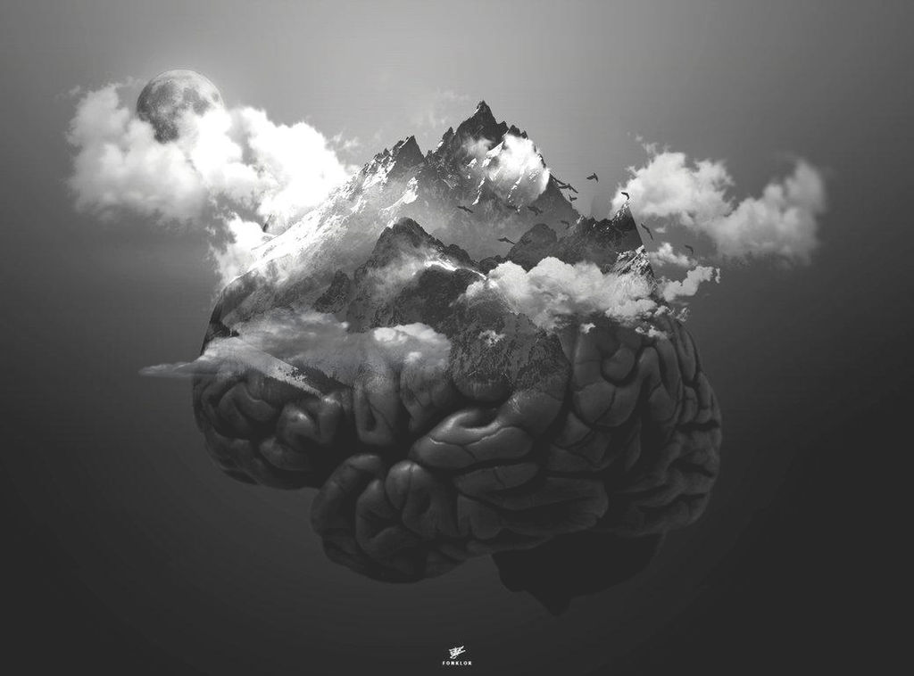 Brain by Fonklor-32 on DeviantArt