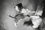 Dog named Grisha by Artic-art
