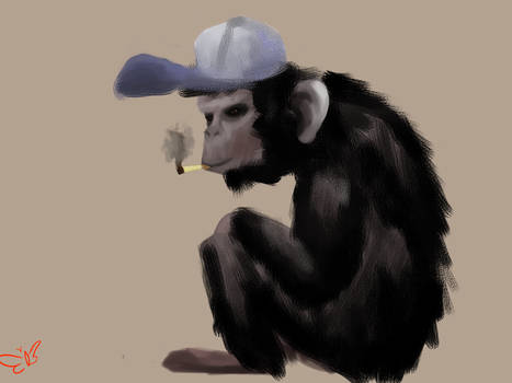 Ape