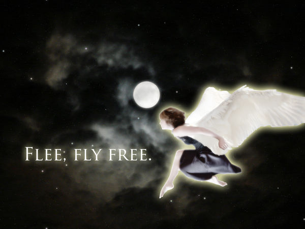 Flee, fly free... by maxnfang on DeviantArt
