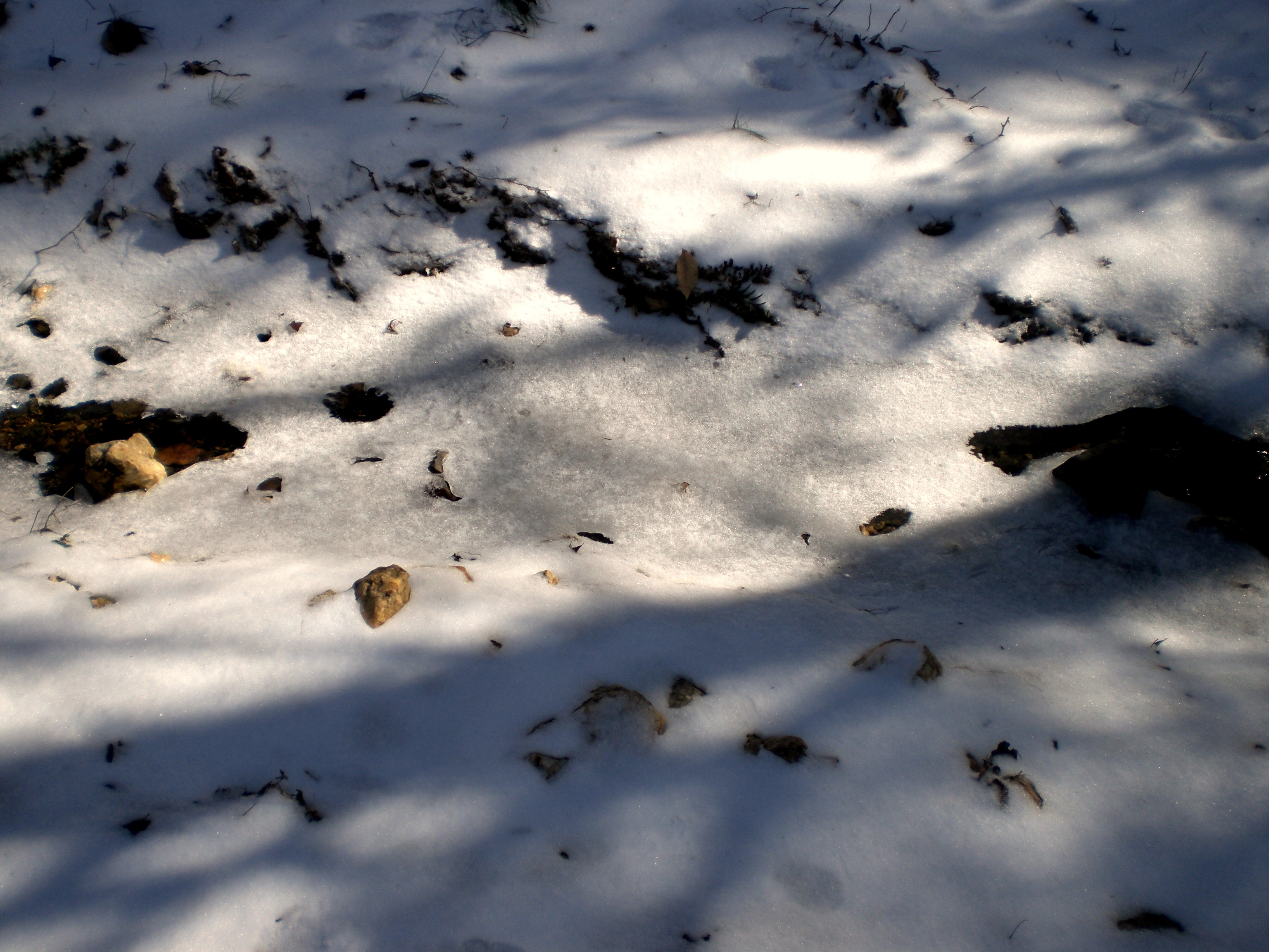 Land Bridge of Ice