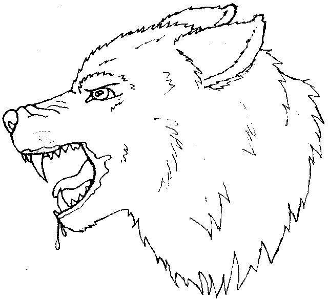 Wolf Head outline