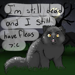 Yellowfang answer