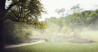 Lake of mist