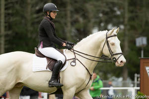 Cremello stock