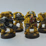 Imperial Fist Sternguard 3