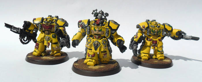 Imperial Fist  Centurions