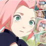 sakura, the future