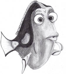 Dory