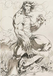 pencil Wolvie..