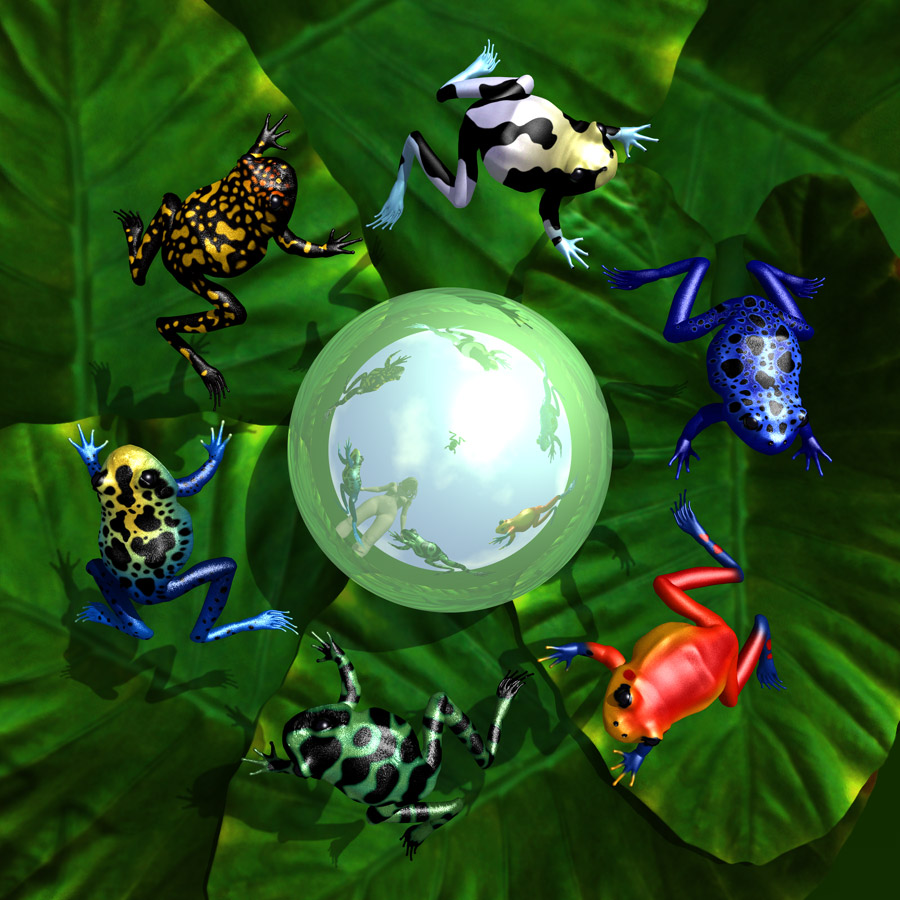 Poison Dart Frogs by parrotdolphin