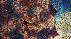 Timewarp in Istanbul