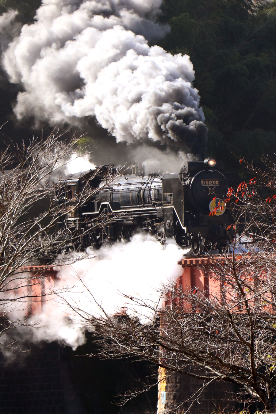 Jnr Class D51 0 In Yamaguchi 3 By Semihiro51 On Deviantart Jnr Class D51 0 In Yamaguchi 3 By Semihiro51 On Deviantart