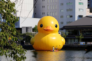 Rubber Duck(2)