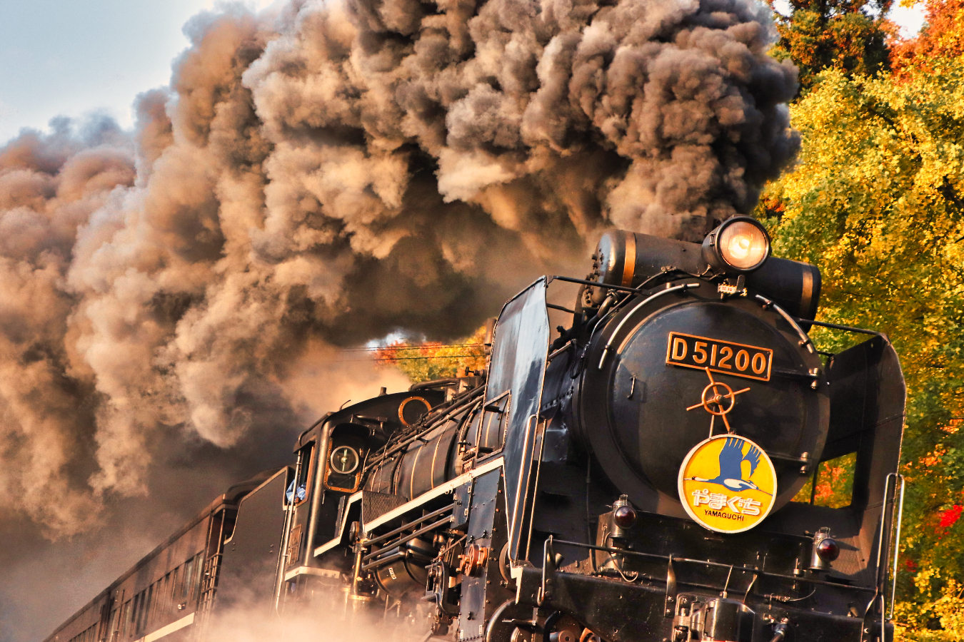 D510 By Semihiro51 On Deviantart D510 By Semihiro51 On Deviantart