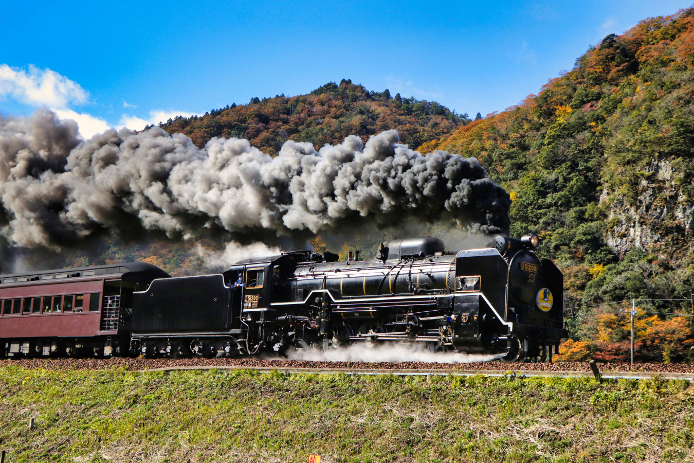 D510 By Semihiro51 On Deviantart D510 By Semihiro51 On Deviantart