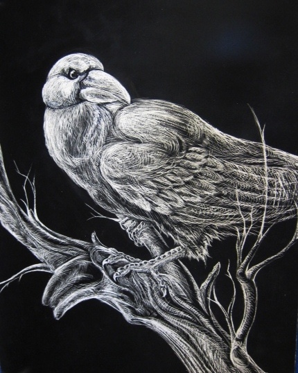 Scratch-Board Raven