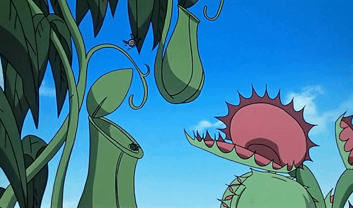 Shino Feels His Insects Deaths by mwcaslin on DeviantArt