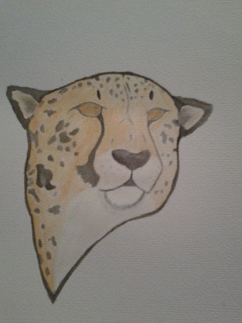 Gift - Cheetah