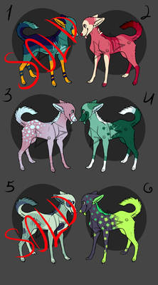 Canine adoptables - OPEN - (4/6)