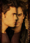 TVD, Stefan et Damon Salvatore by Slytan