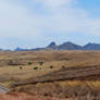 Cochise County Large Pano