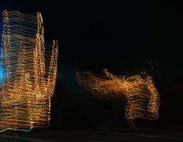 Dance of the Night Cactus